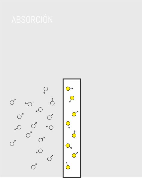 absorción acústica